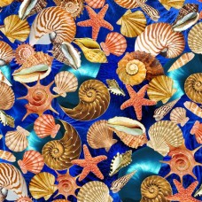 Oceana Sea Shells 1100-3199